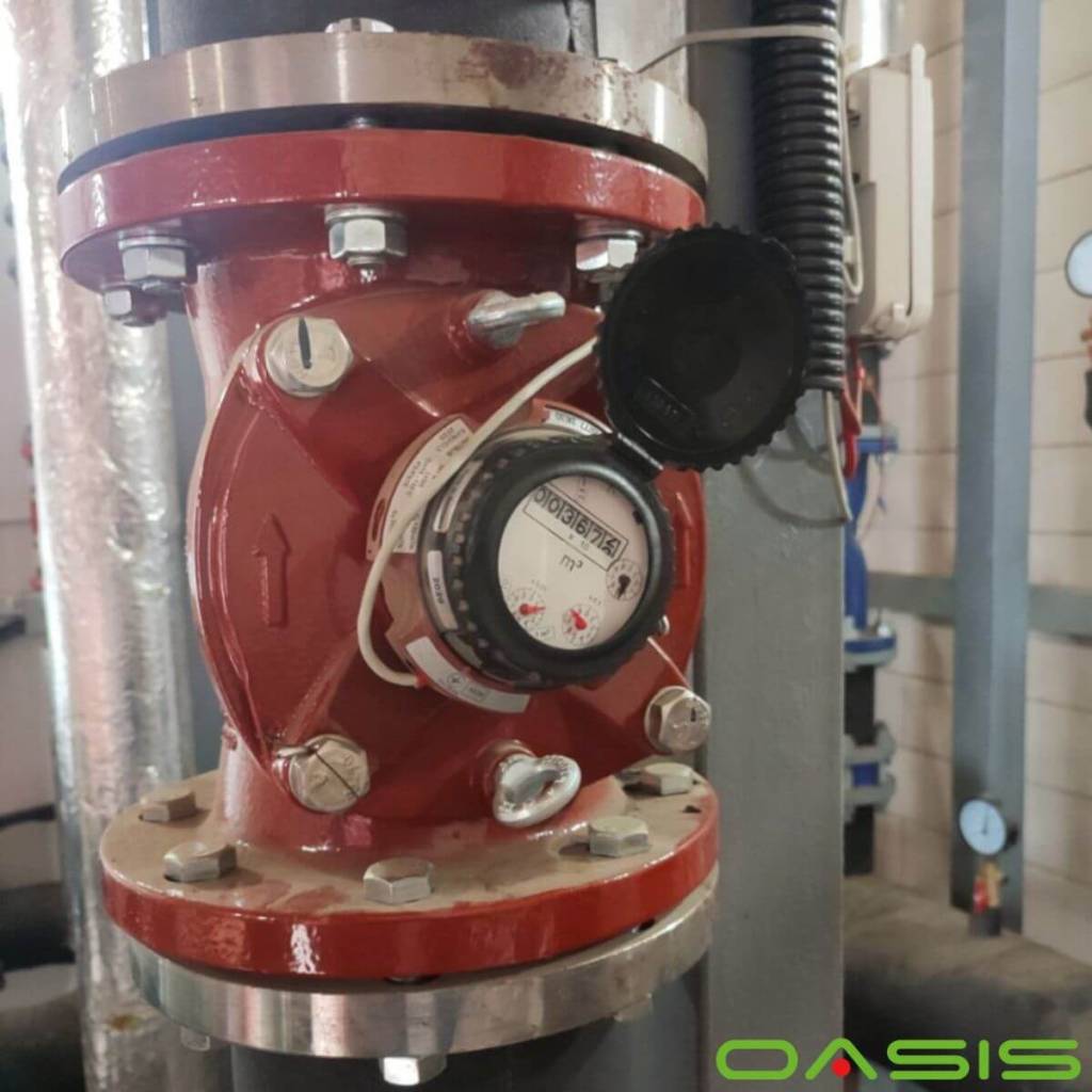 oasis-81