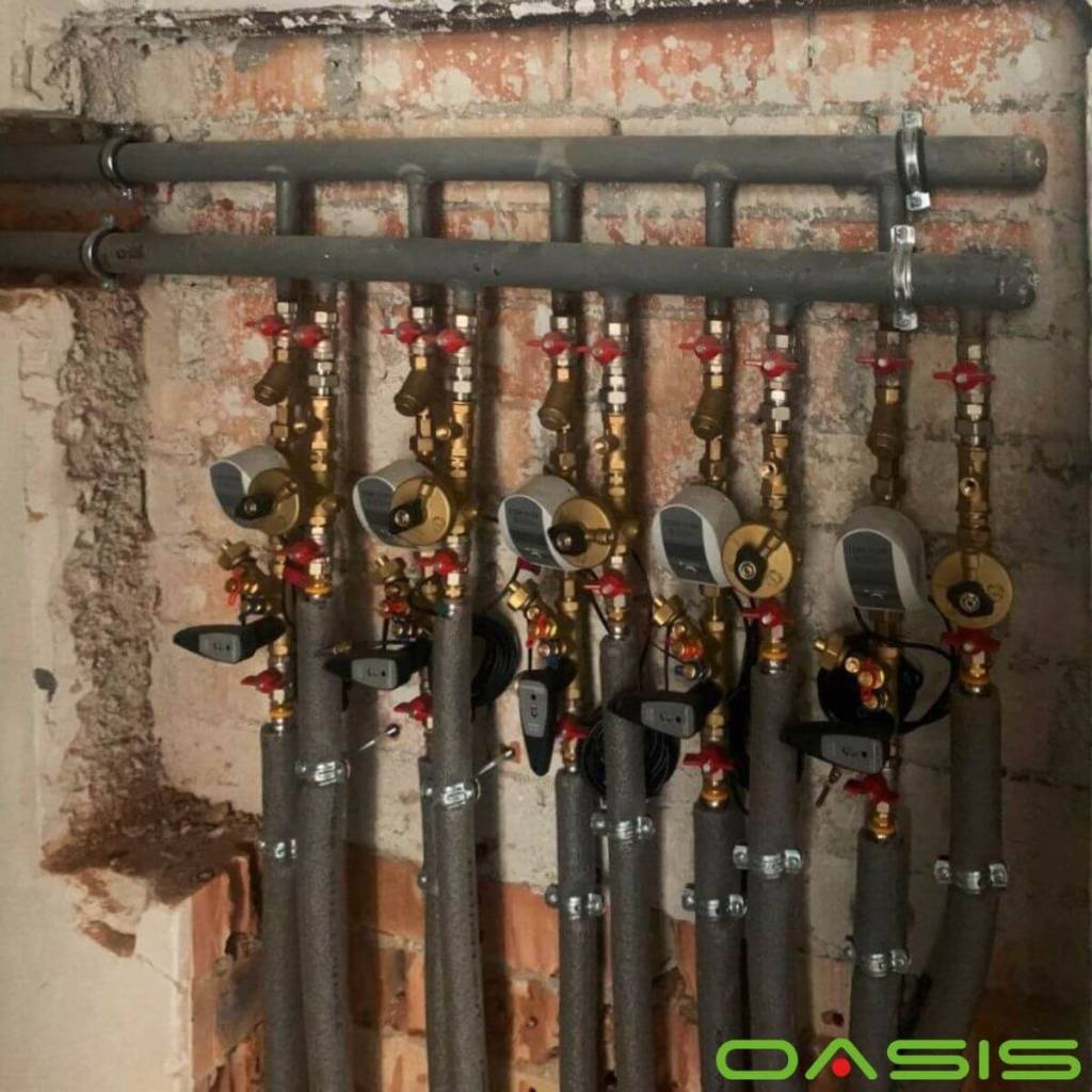 oasis-99